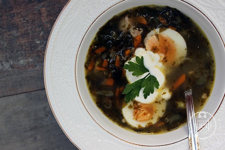 Зеленый борщ