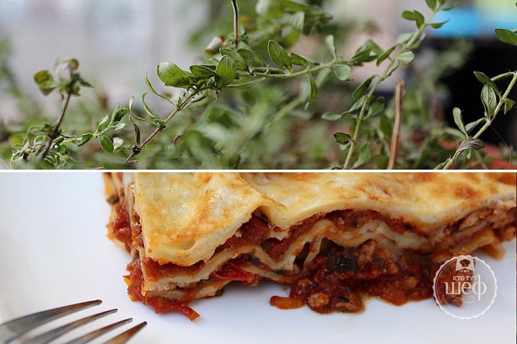 Лазанья с мясным рагу и соусом бешамель