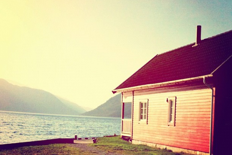 Грибной бульон